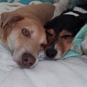 Meet your Posher, Andy